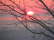Winter - spectacular sunset_JPG