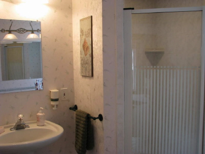 ensuite - shower_JPG