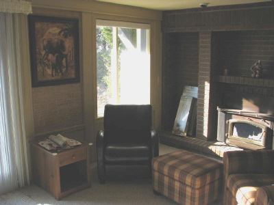 family room - wood fireplace_JPG