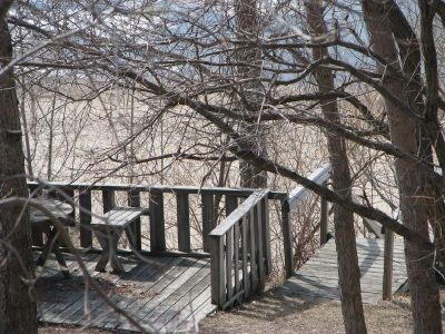 winter - steps to sandy and icy beach_JPG
